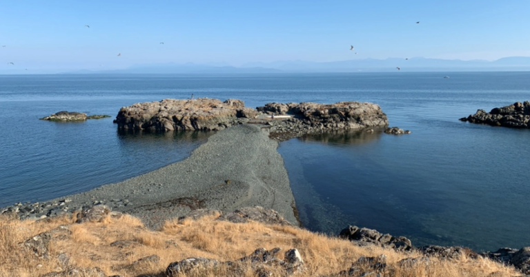 neck-point-park-nanaimo