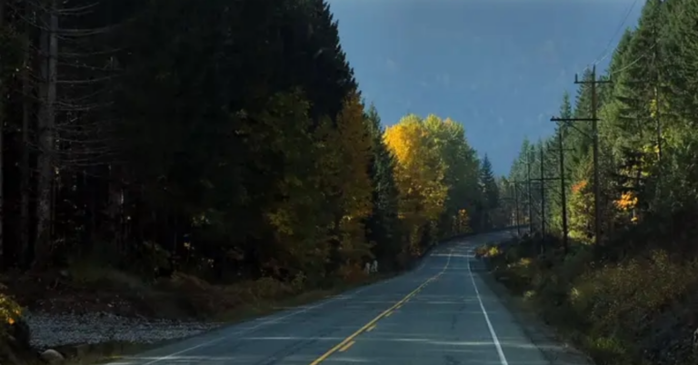 road-to-tofino-bc-highway-port-alberni-british-columbia-fall-low-hanging-cloud-over-front-mountain-distance-108278731.jpg