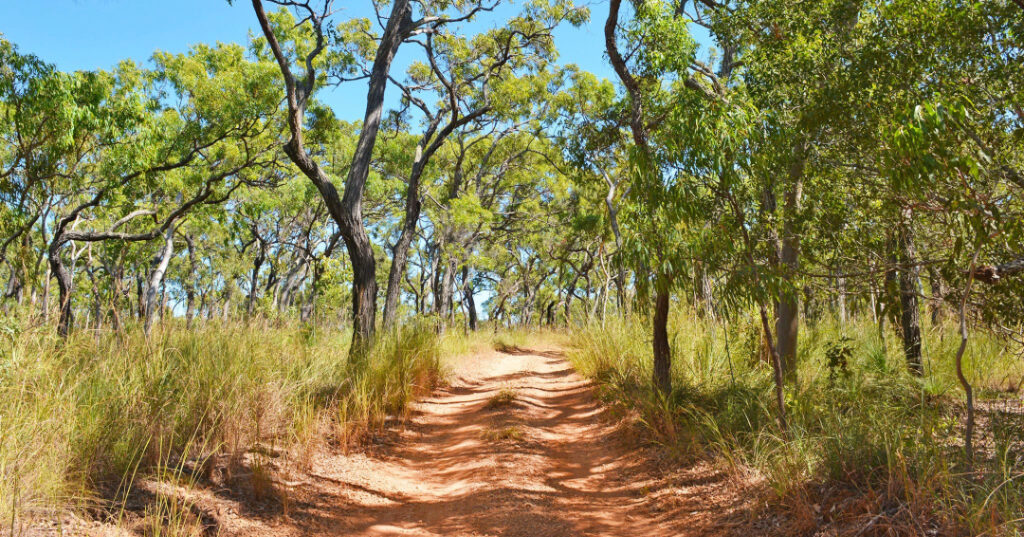 Cape-Palmerston-Backroad-Trail