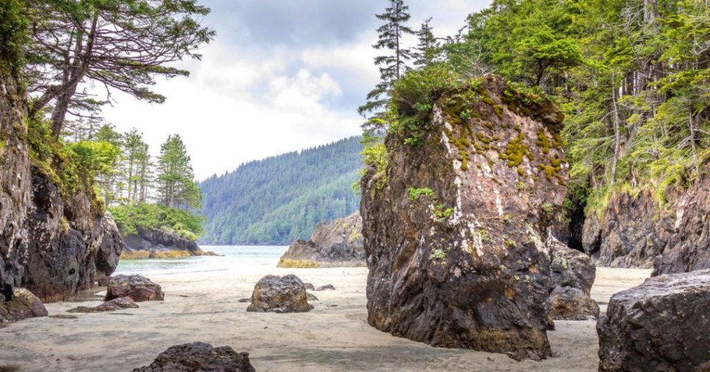 Cape-Scott-Feature-2