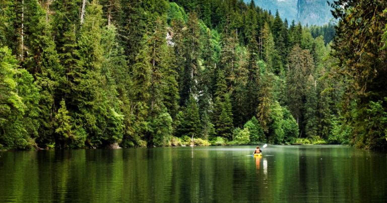 Great-Bear-Rainforest-2