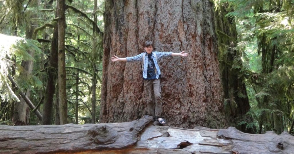 MacMillan-Provincial-Park-2