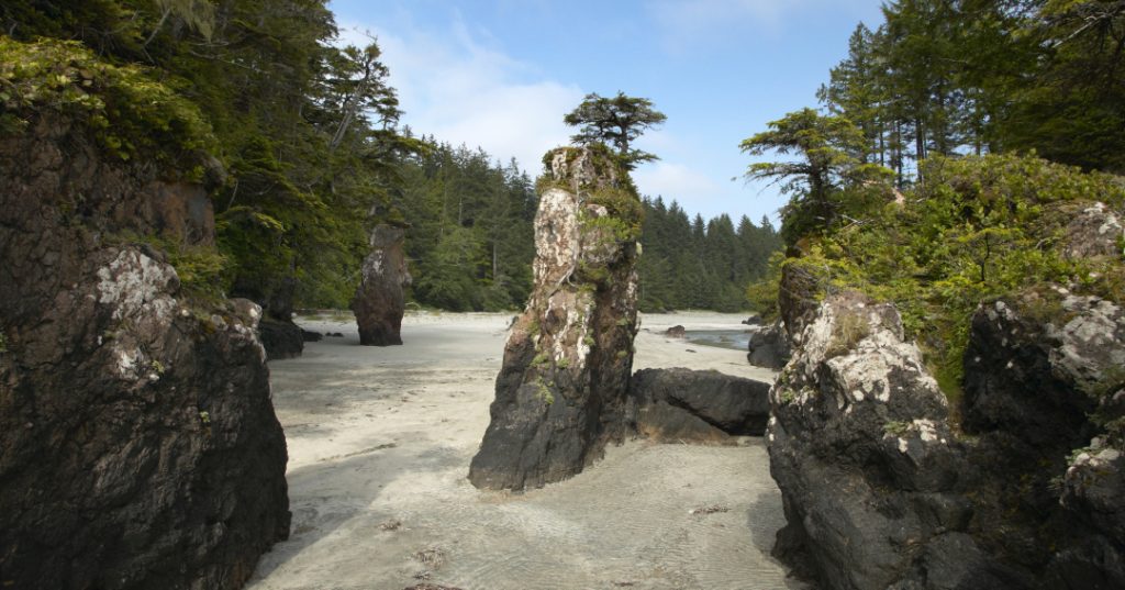 shutterstock_239231935-2